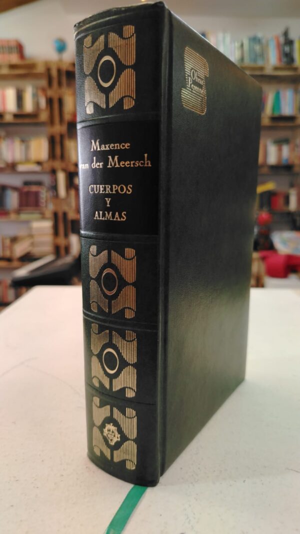 Cuerpos y almas - Maxence