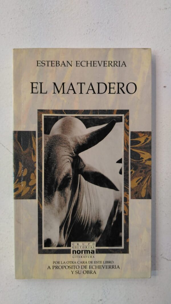 El matadero - Esteban Echeverria