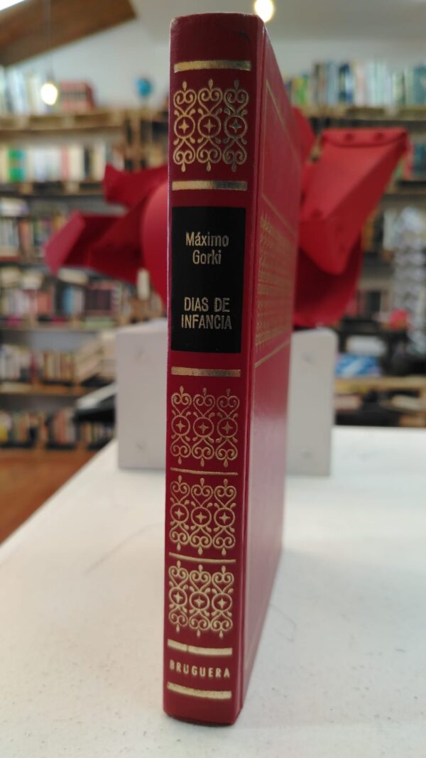 Dias de infancia - Maximo Gorki