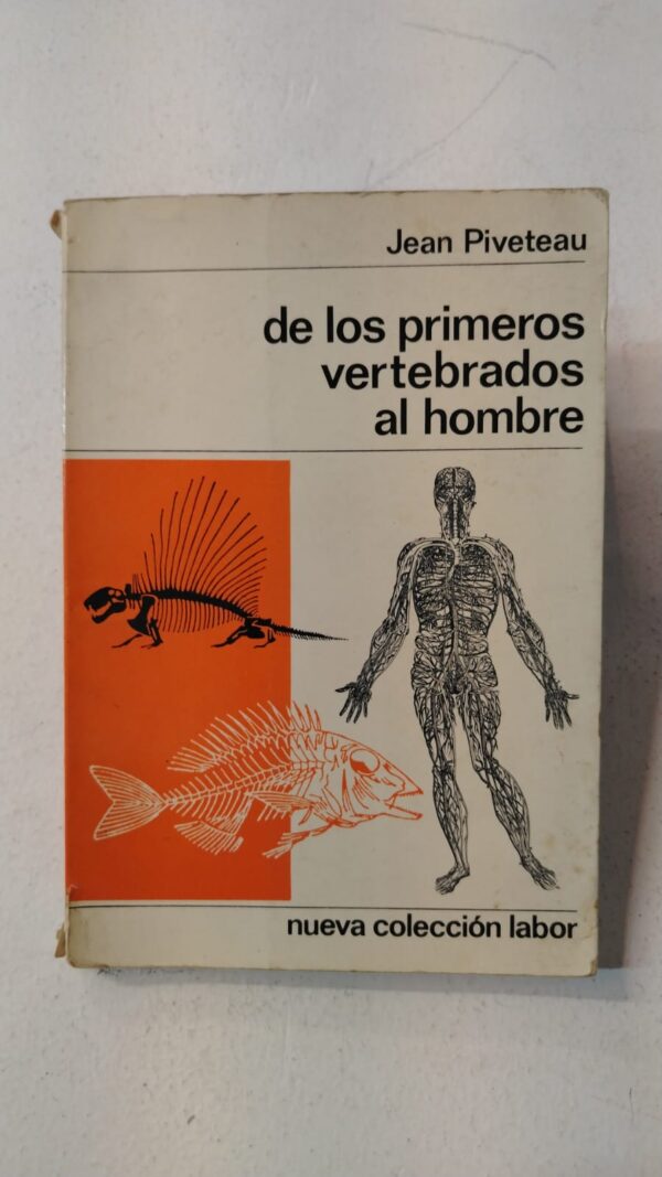 De los primeros vertebrados al hombre – Jean Piveteau