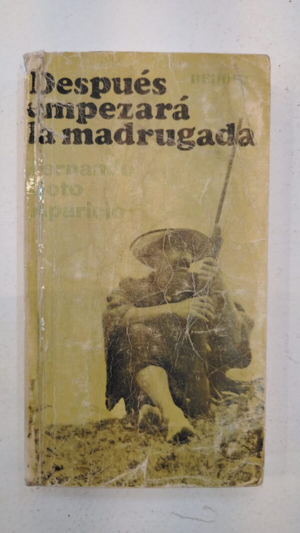 Después empezará la madrugada – Fernando Soto Aparicio