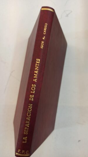 La separación de los amantes – Igor A. Caruso