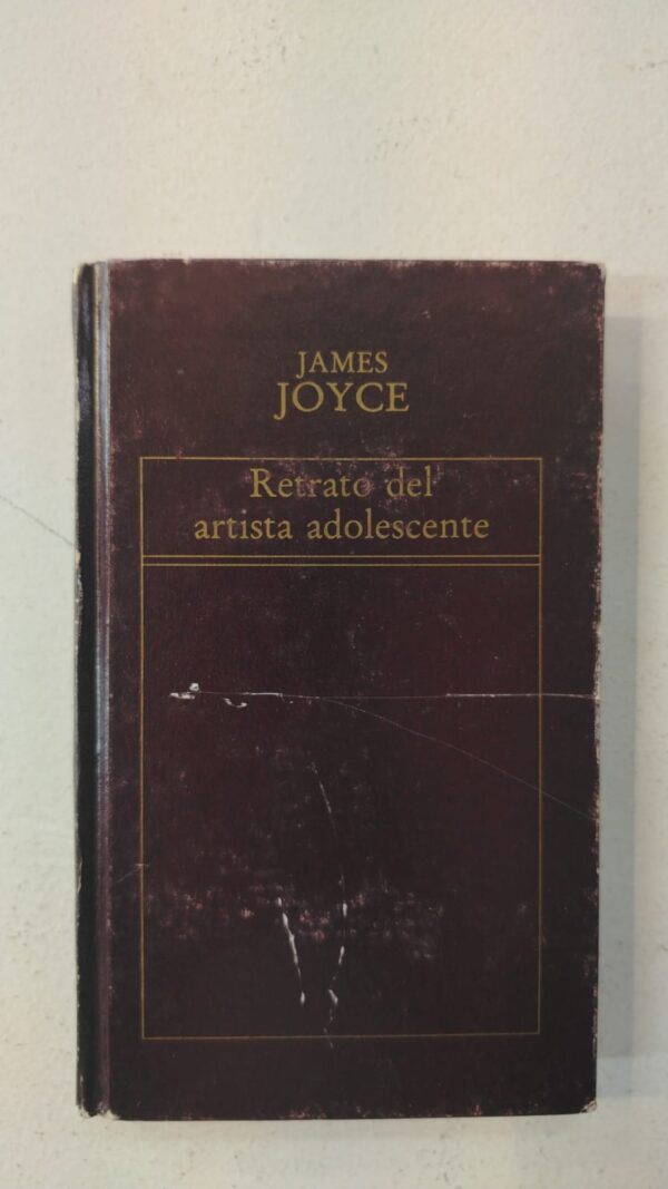 Retrato del artista adolescente - James Joyce